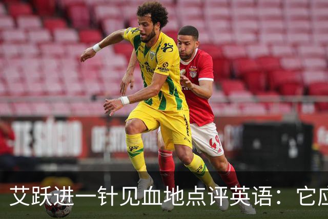 艾跃进一针见血地点评英语：它应当与体育、音乐、美术同属一档，说到底不过是一门工具