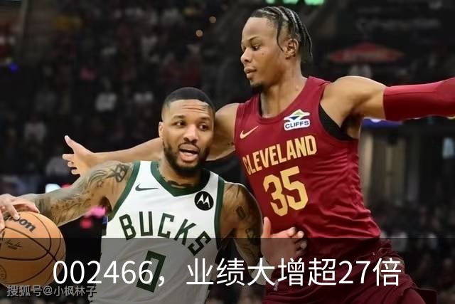 002466，业绩大增超27倍
